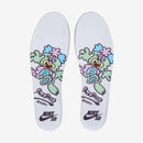 Verdy x Nike SB Dunk Low “Visty”