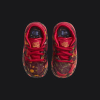 Wizard of Oz x Nike SB Dunk Low (TD) “No Place Like Home”