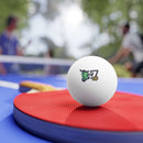 HOC 10YR - Ping Pong Balls, 6 pcs