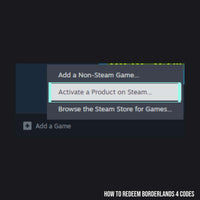Borderlands 4 - Steam Code