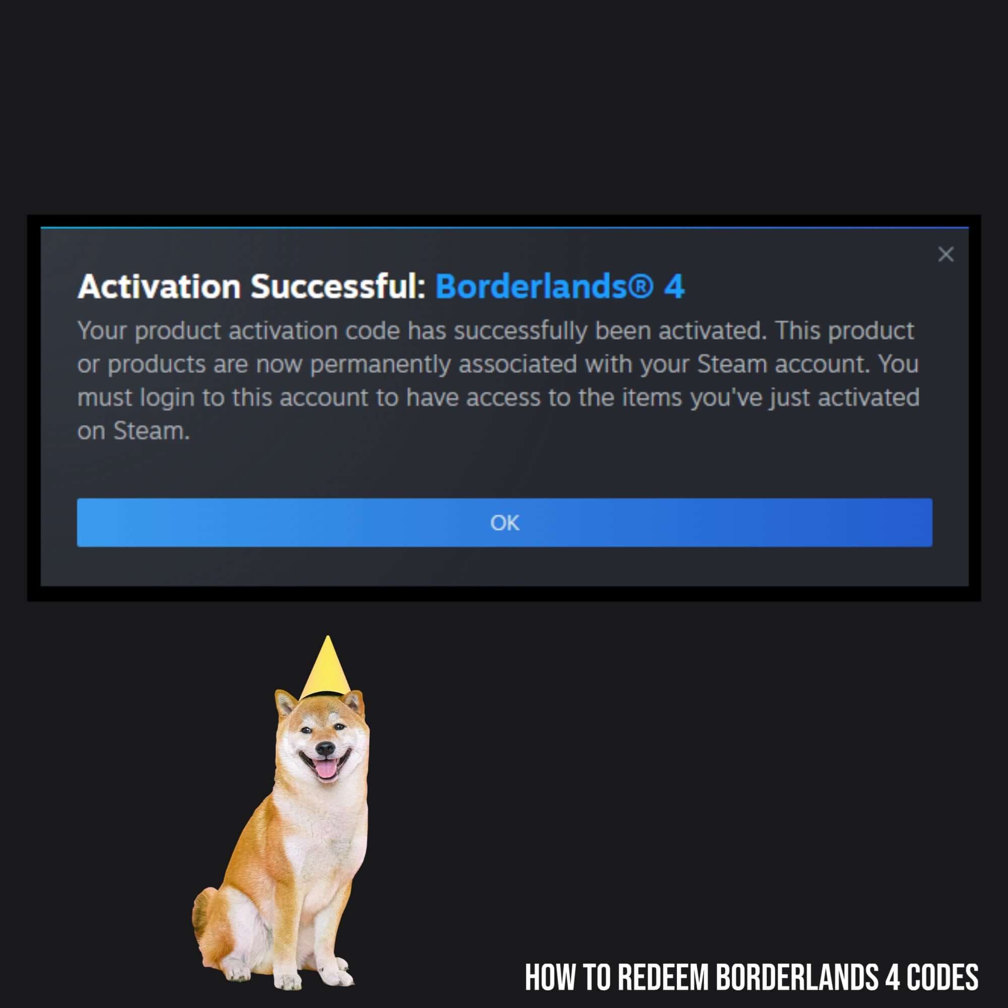 Borderlands 4 - Steam Code