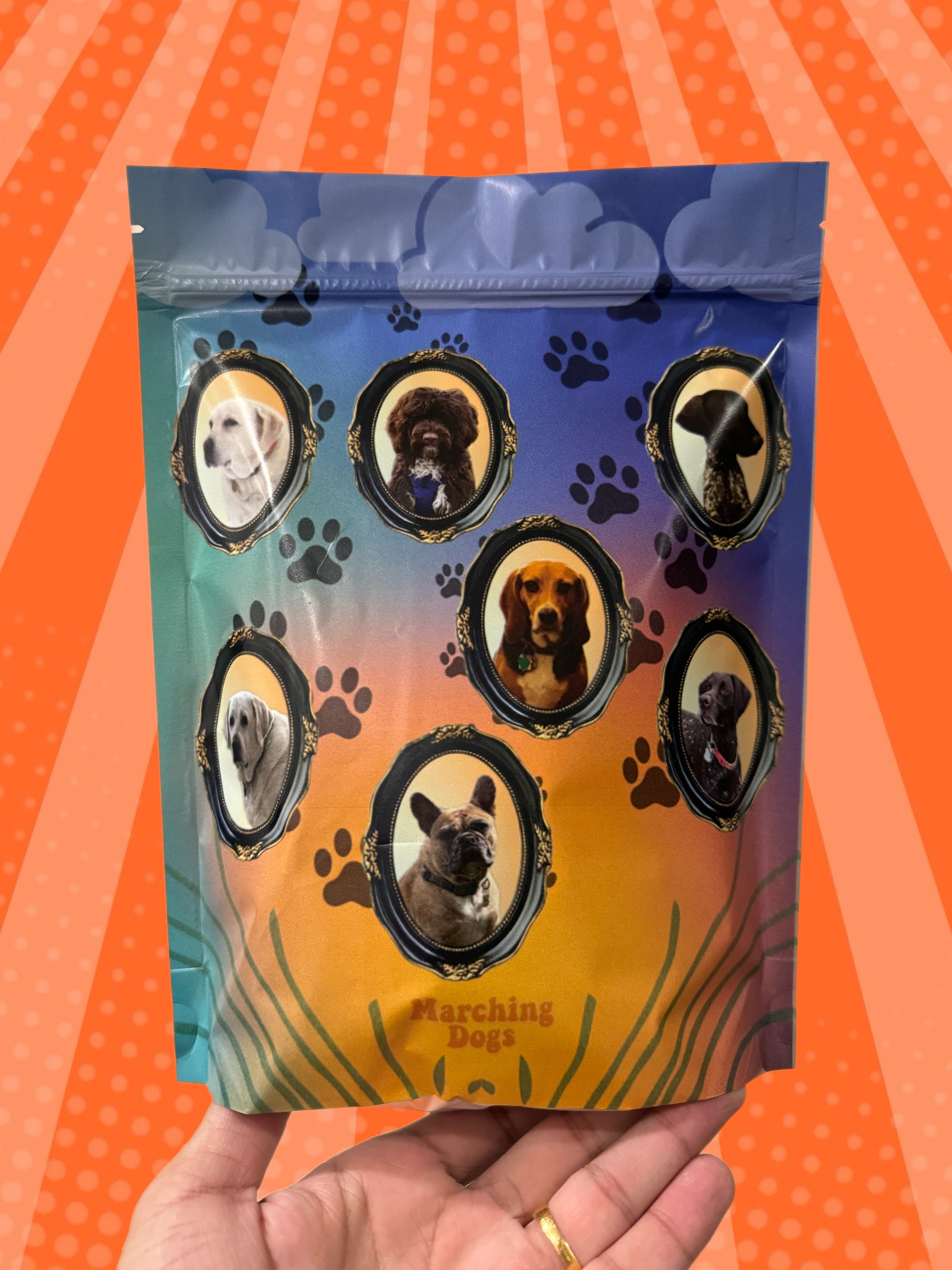 ‘Doggy Bag’ Treats