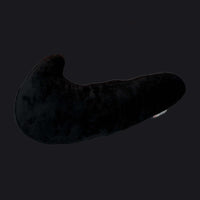 Nike Swoosh Japan Exclusive Birthday Pillow