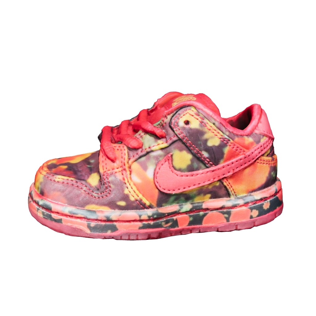 Wizard of Oz x Nike SB Dunk Low (TD) “No Place Like Home”